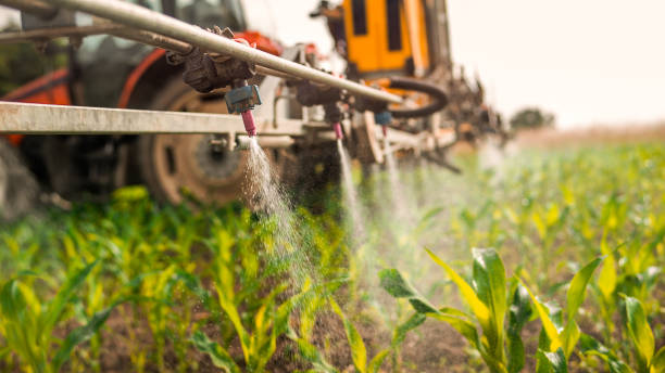 Pest Prevention Services in Hollandale, MS